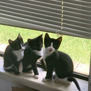 Meet your Posher, Amy